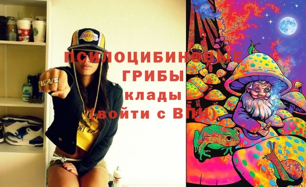 таблы Белокуриха