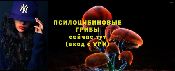 шишки Беломорск