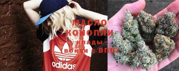 шишки Беломорск