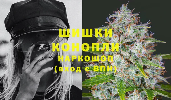 шишки Беломорск