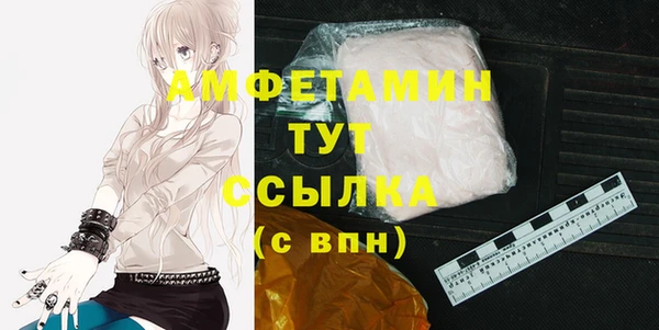 шишки Беломорск