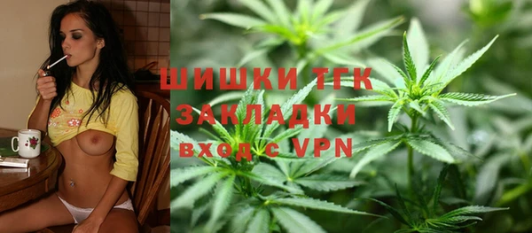 шишки Беломорск