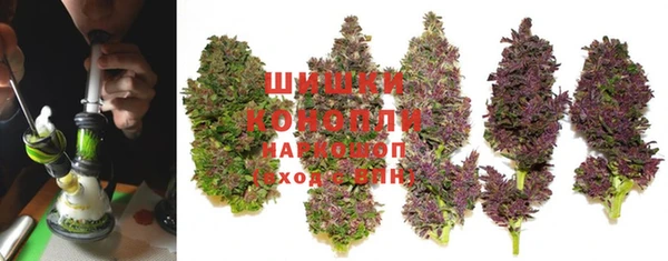 шишки Беломорск