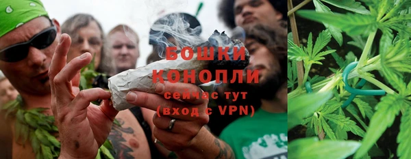 таблы Белокуриха