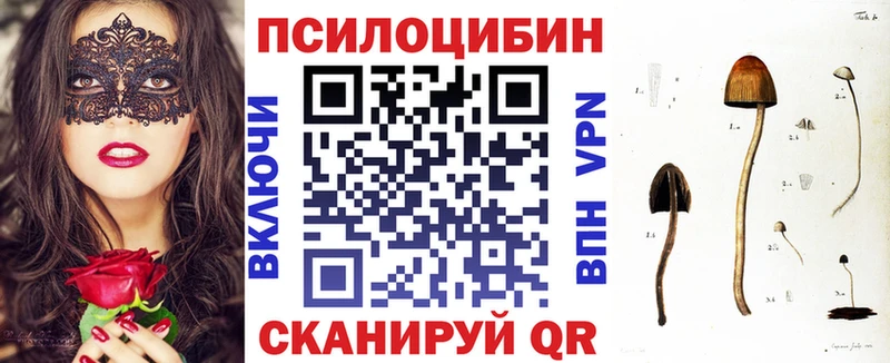 Псилоцибиновые грибы GOLDEN TEACHER Володарск