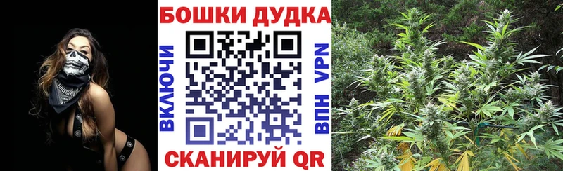 МАРИХУАНА семена  Володарск 